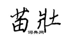 王正良苗壯行書個性簽名怎么寫
