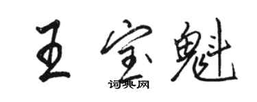 駱恆光王寶魁行書個性簽名怎么寫