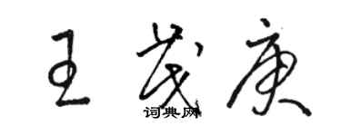 駱恆光王茂庚草書個性簽名怎么寫