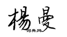 王正良楊曼行書個性簽名怎么寫