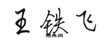 駱恆光王鐵飛行書個性簽名怎么寫