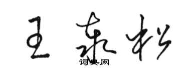 駱恆光王泰松草書個性簽名怎么寫