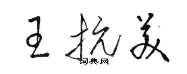 駱恆光王抗美草書個性簽名怎么寫