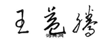 駱恆光王益騰草書個性簽名怎么寫