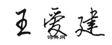駱恆光王愛建行書個性簽名怎么寫