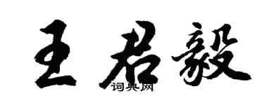 胡問遂王君毅行書個性簽名怎么寫