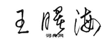 駱恆光王曙海草書個性簽名怎么寫