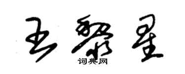 朱錫榮王黎星草書個性簽名怎么寫