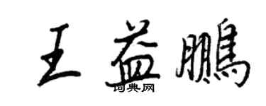 王正良王益鵬行書個性簽名怎么寫