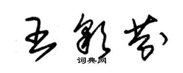 朱錫榮王彩芬草書個性簽名怎么寫