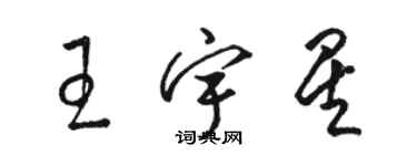 駱恆光王宇星草書個性簽名怎么寫