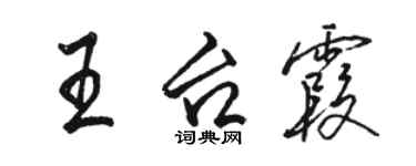 駱恆光王台霞行書個性簽名怎么寫