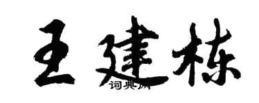 胡問遂王建棟行書個性簽名怎么寫