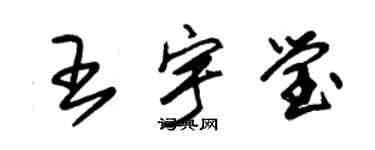 朱錫榮王宇瑩草書個性簽名怎么寫