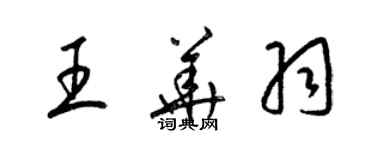 梁錦英王華羽草書個性簽名怎么寫