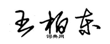 朱錫榮王柏東草書個性簽名怎么寫