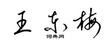 梁錦英王東梅草書個性簽名怎么寫