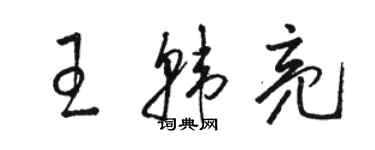 駱恆光王韓亮草書個性簽名怎么寫