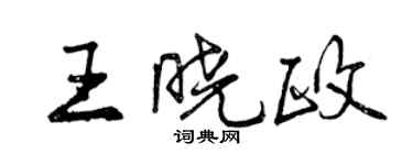 曾慶福王曉政行書個性簽名怎么寫
