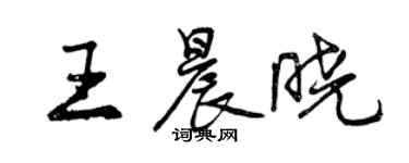 曾慶福王晨曉行書個性簽名怎么寫