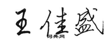 駱恆光王佳盛行書個性簽名怎么寫
