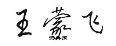 駱恆光王蒙飛行書個性簽名怎么寫