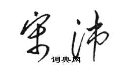 駱恆光宋沛草書個性簽名怎么寫