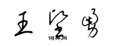 梁錦英王堅勇草書個性簽名怎么寫