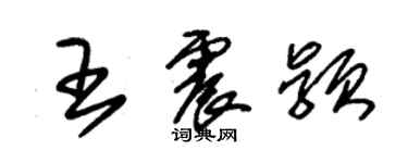 朱錫榮王震穎草書個性簽名怎么寫