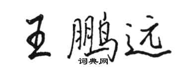 駱恆光王鵬遠行書個性簽名怎么寫