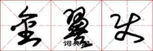朱錫榮金翼使草書怎么寫