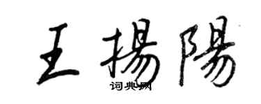 王正良王揚陽行書個性簽名怎么寫