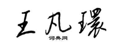 王正良王凡環行書個性簽名怎么寫