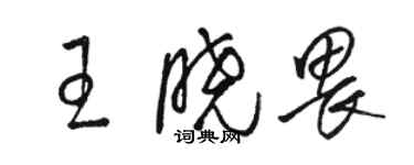 駱恆光王曉畏草書個性簽名怎么寫