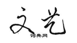 駱恆光文藝行書個性簽名怎么寫