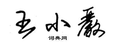 朱錫榮王小嚴草書個性簽名怎么寫