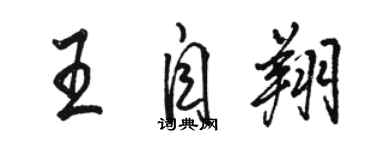 駱恆光王自翔行書個性簽名怎么寫