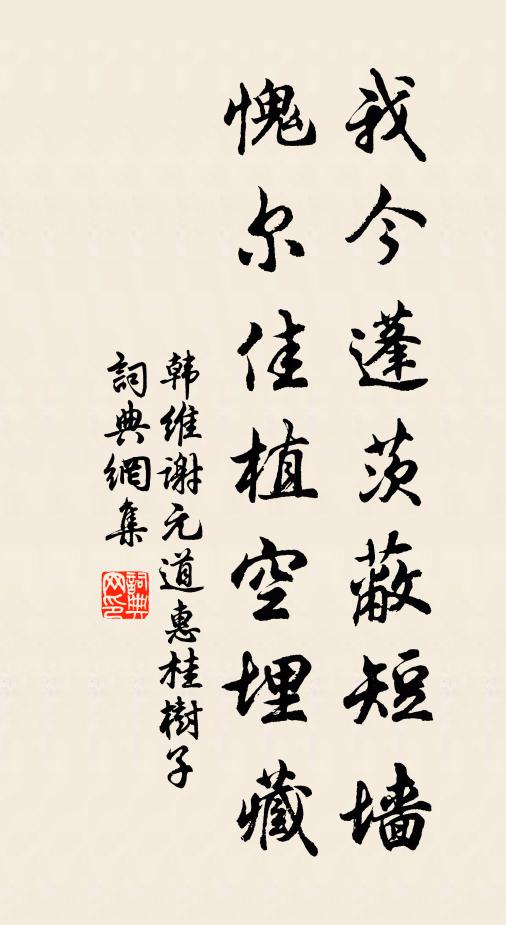 寂寂有餘意，池蓮三五花 詩詞名句