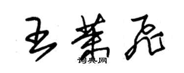 朱錫榮王茉飛草書個性簽名怎么寫