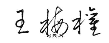 駱恆光王梅權草書個性簽名怎么寫