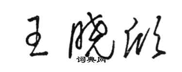 駱恆光王曉欣草書個性簽名怎么寫