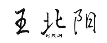 駱恆光王北陽行書個性簽名怎么寫