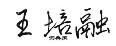 駱恆光王培融行書個性簽名怎么寫