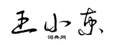 曾慶福王小京草書個性簽名怎么寫