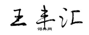 曾慶福王豐匯行書個性簽名怎么寫