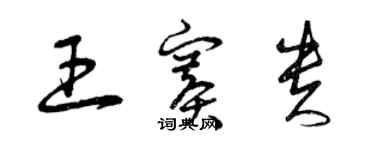 曾慶福王賽貴草書個性簽名怎么寫