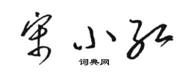 駱恆光宋小紅草書個性簽名怎么寫
