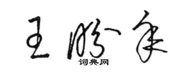 駱恆光王盼年草書個性簽名怎么寫