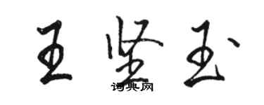 駱恆光王堅玉行書個性簽名怎么寫