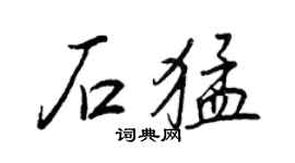 王正良石猛行書個性簽名怎么寫
